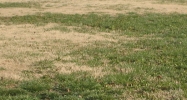1110 W Buena Vista Rd Evansville, IN 47710 - Image 15067401