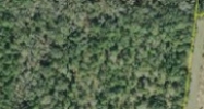 19588 Autumn Oaks Brooksville, FL 34601 - Image 15078324