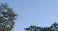 11648 Uradco Place Brooksville, FL 34602 - Image 15078312