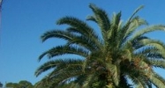 Jasmine Blvd & US Hwy 19 Port Richey, FL 34668 - Image 15082070