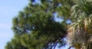 8807 U.S. Highway 19 Port Richey, FL 34668 - Image 15083092
