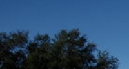 11435  US  HWY 19 Port Richey, FL 34668 - Image 15086879