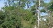 0000  Broad St Brooksville, FL 34601 - Image 15101544