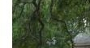 403  E. Jefferson St St Brooksville, FL 34601 - Image 15101548