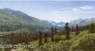 L9 B5 Birdsong Drive Eagle River, AK 99577 - Image 15104446