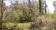 Coco Rd. Geismar, LA 70734 - Image 15104888