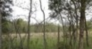 405 Dawkins Rd. La Grange, KY 40031 - Image 15105254