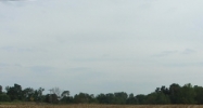 County Road 1200 S Dale, IN 47523 - Image 15105380