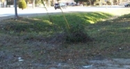 7311 Skidaway Road Savannah, GA 31406 - Image 15105824