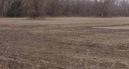 Meridian Rd Okemos, MI 48864 - Image 15105940
