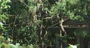 1578 Grove Point Rd Savannah, GA 31419 - Image 15106035