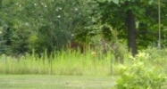 1162 Morton Taylor Road Canton, MI 48188 - Image 15106418