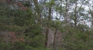 Green Point Rd Boomer, NC 28606 - Image 15108434