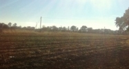 32.89 Acres on Hwy 96 Saint Martinville, LA 70582 - Image 15110713