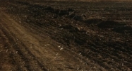 Hwy 96 Saint Martinville, LA 70582 - Image 15110714