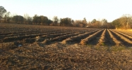 Acreage on Isle Labbe Rd/Hwy 96 Saint Martinville, LA 70582 - Image 15110716