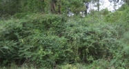 0 Hwy. 59 Mandeville, LA 70448 - Image 15130670