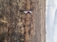 0 Center Dr Milliken, CO 80543 - Image 15139231