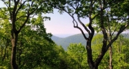 148 Squirrels Nest Jasper, GA 30143 - Image 15152936