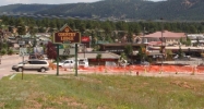 727 West Highway 24 Woodland Park, CO 80863 - Image 15173631