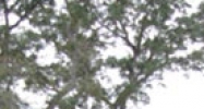 4667 Commercial Way Spring Hill, FL 34606 - Image 15189623