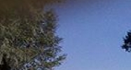 15526 US Hwy 301 Dade City, FL 33523 - Image 15189682