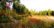 10170 N Solid Rock Circle Palmer, AK 99645 - Image 15200054