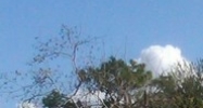 5844 1st Street Zephyrhills, FL 33542 - Image 15200236