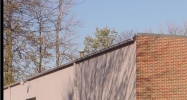 600 Ajax Dr Madison Heights, MI 48071 - Image 15203629