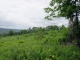 0 Duck pond rd Barton, VT 05822 - Image 15210284