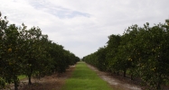 2300 CR 731 Venus, FL 33960 - Image 15213667