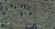 15223-15227 US Highway 19 Hudson, FL 34667 - Image 15214883