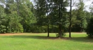 15 Mandy Ln Forsyth, GA 31029 - Image 15222426