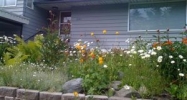 2303 Roosevelt Drive Anchorage, AK 99517 - Image 15229464