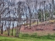 4412 Gravelly Hills Rd Louisville, TN 37777 - Image 15247126