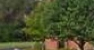 1900 W Big Beaver Rd Troy, MI 48084 - Image 15255935