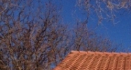 8008 Slide Rd Lubbock, TX 79424 - Image 15255979