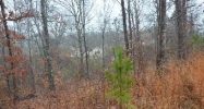 2050 New County Line Rd Sylacauga, AL 35151 - Image 15263625