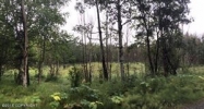 11757 E Koenen Road Palmer, AK 99645 - Image 15264103