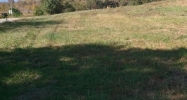 320 Nelson Ln South Pittsburg, TN 37380 - Image 15287441