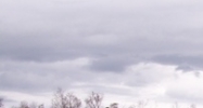 730 Old Wilson Hill Road Greeneville, TN 37745 - Image 15288454