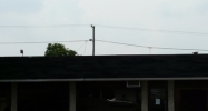 1226 South 9th Street Richmond, IN 47374 - Image 15289096