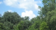 4027 Gall Boulevard Zephyrhills, FL 33542 - Image 15289202