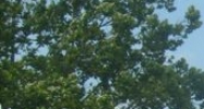 527 & 535 Great Road Littleton, MA 01460 - Image 15289372