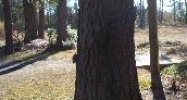 0 Ogeechee Road Savannah, GA 31405 - Image 15290135