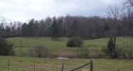 16163 Fork Creek Road Loudon, TN 37774 - Image 15290291