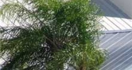16500 Burnt Store Rd Punta Gorda, FL 33955 - Image 15291565
