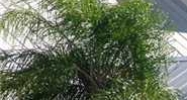 16500 Burnt Store Rd Punta Gorda, FL 33955 - Image 15291566