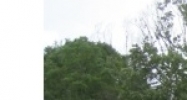 6571 Terry Road Byram, MS 39272 - Image 15293785
