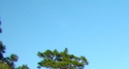 11406 US Highway 41 Spring Hill, FL 34610 - Image 15294757